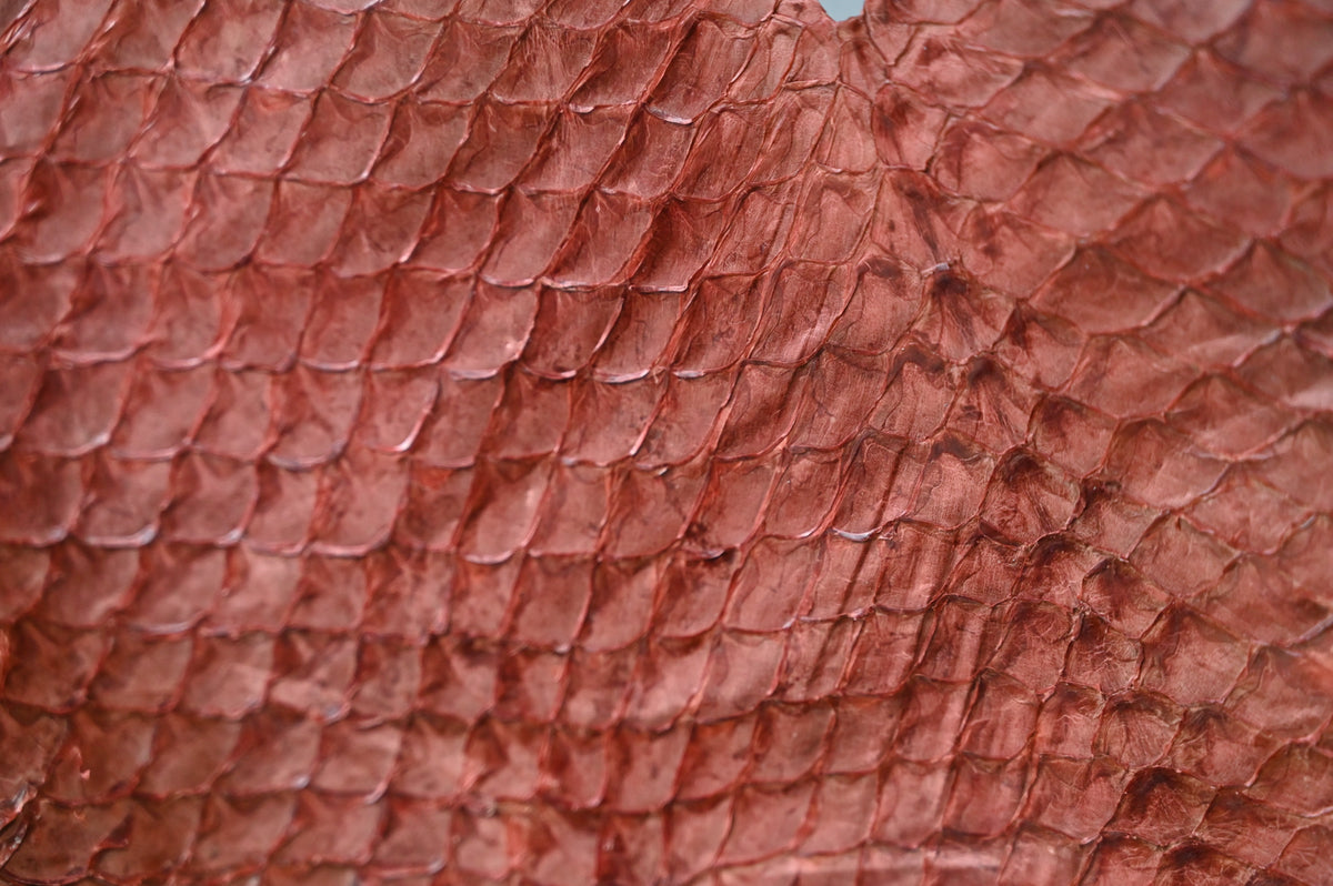 fish-leather
