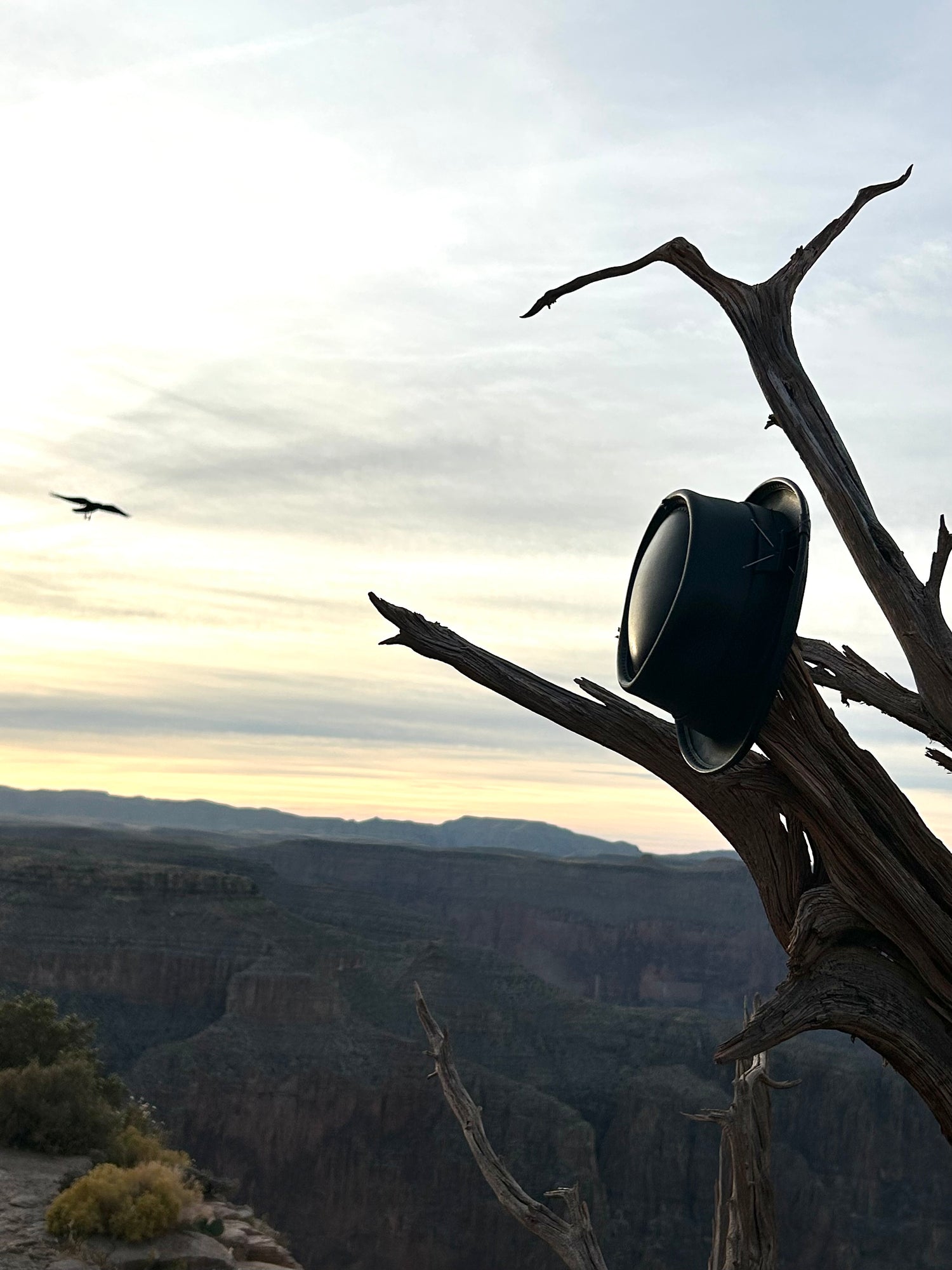grand-canyon-leather