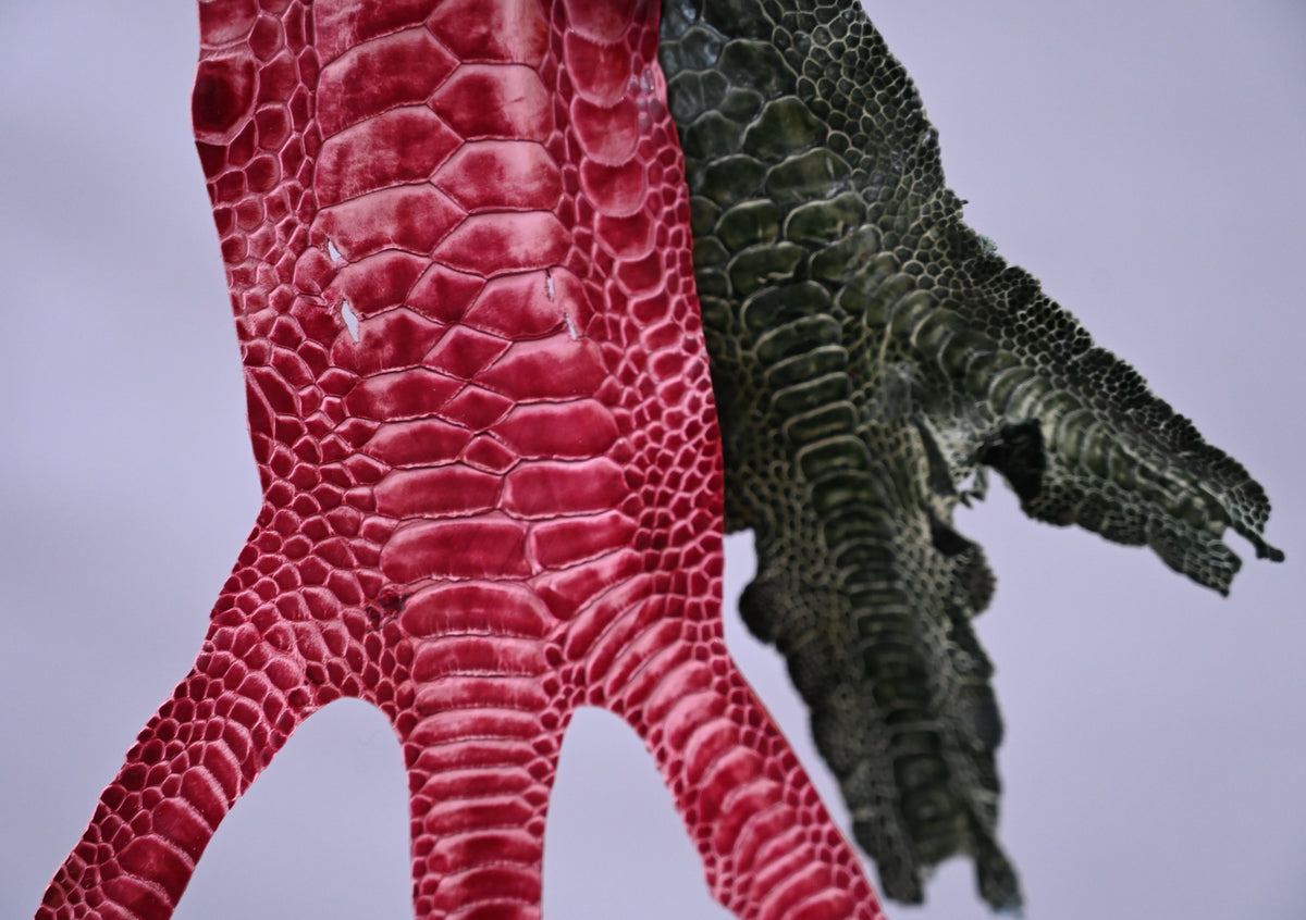 bird-feet-leather