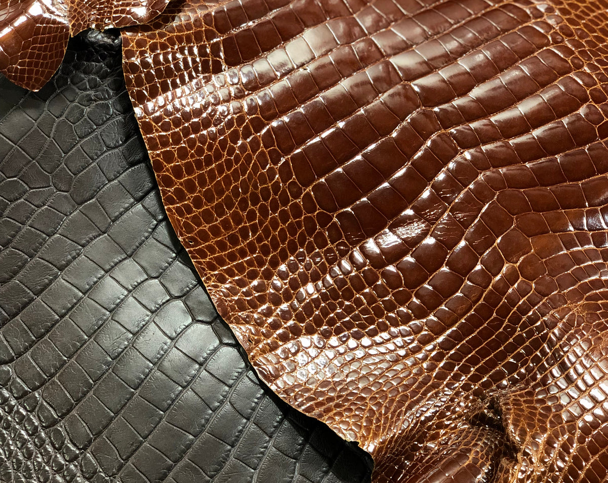 exotic-leather-alligator