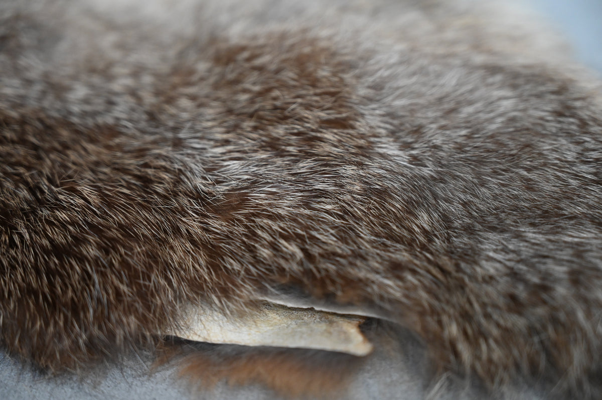 fur-on-leather