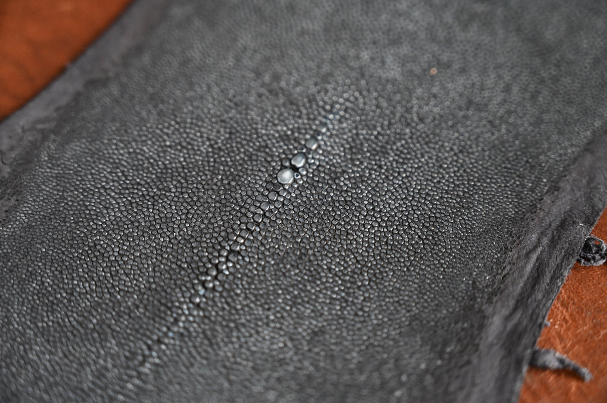 stingray-leather